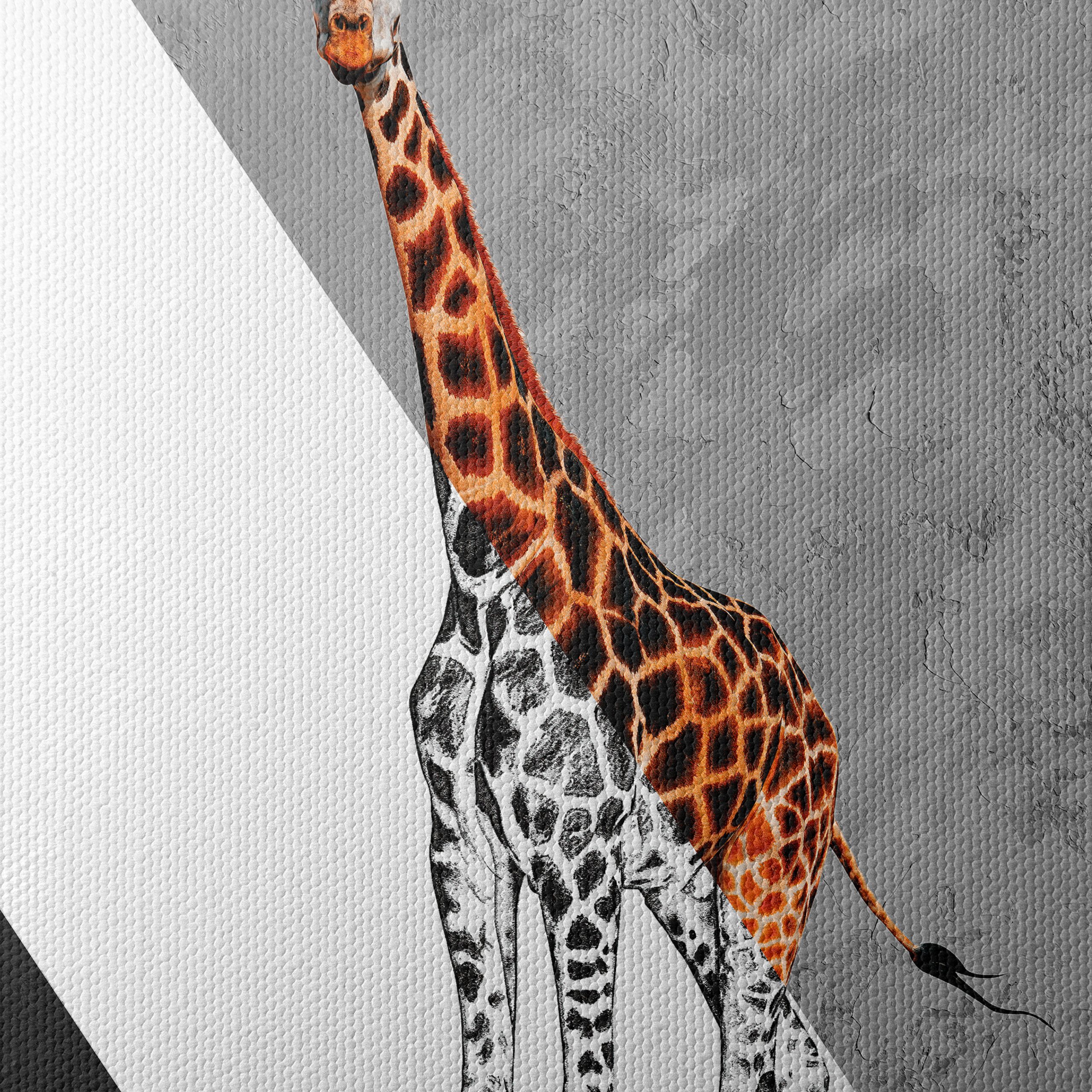 Stylized Giraffe Animal Art - Image 4