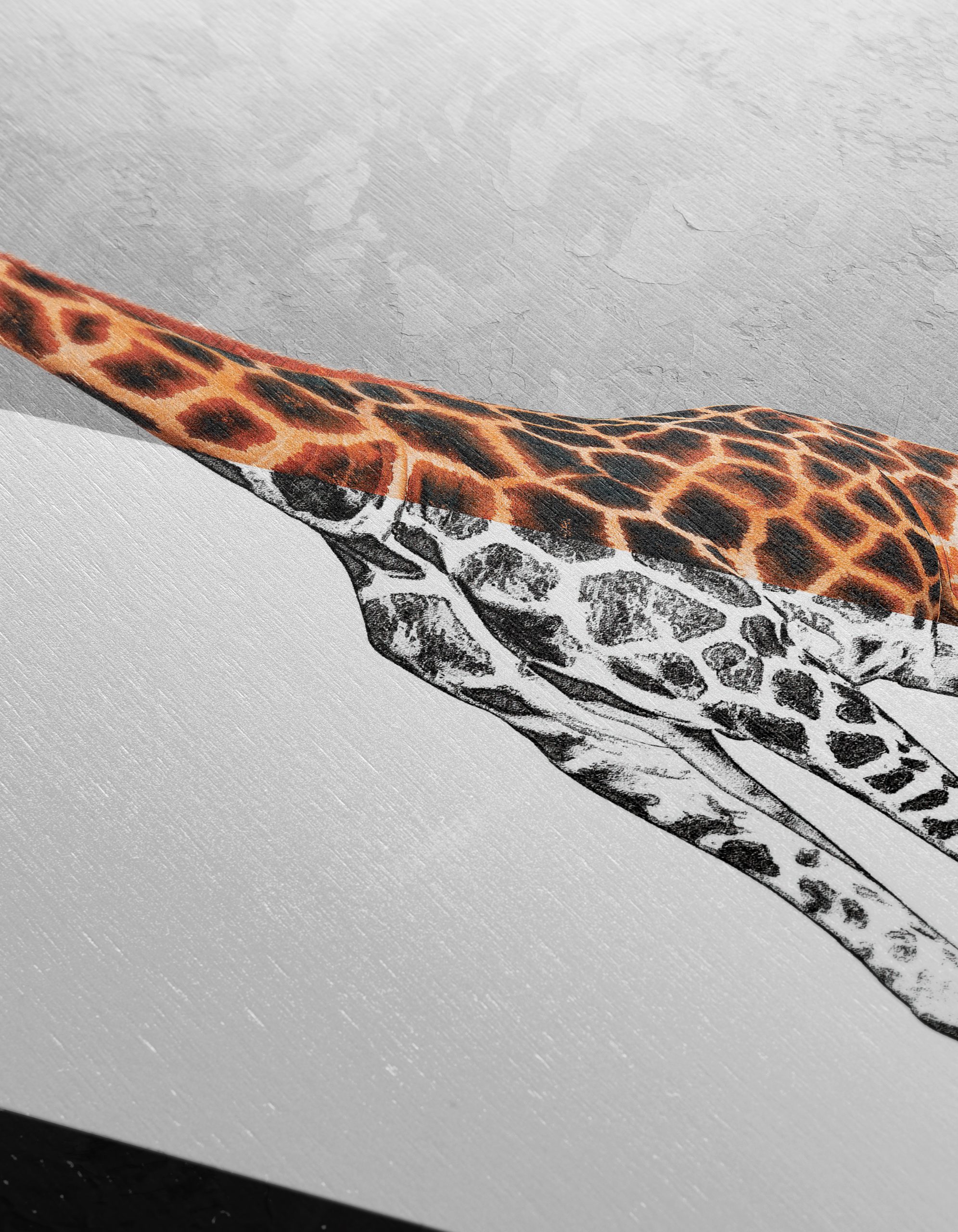 Stylized Giraffe Animal Art - Image 12