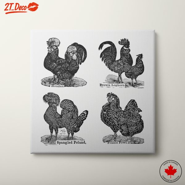 Elegant Poultry Art Collection Featuring Various Breeds