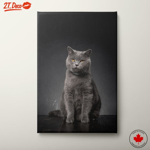 Stylish Gray Cat Wall Art