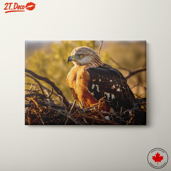 Majestic Eagle on Nest