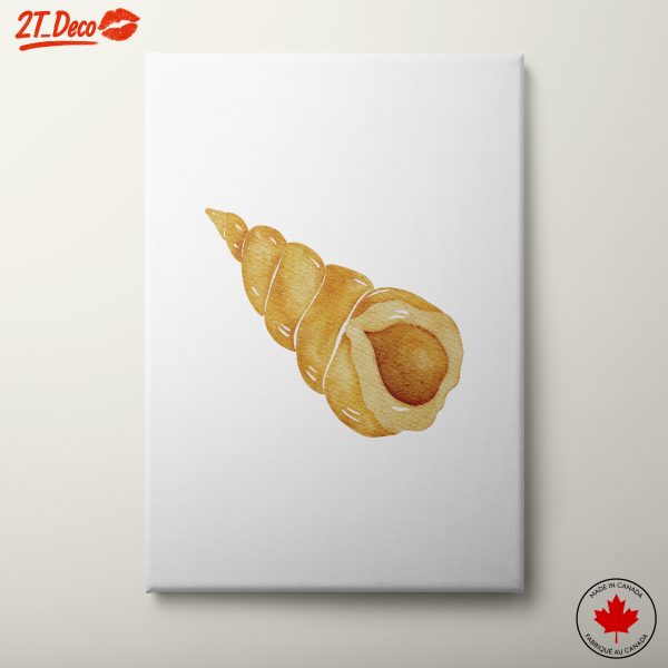Watercolor Seashell Artwork