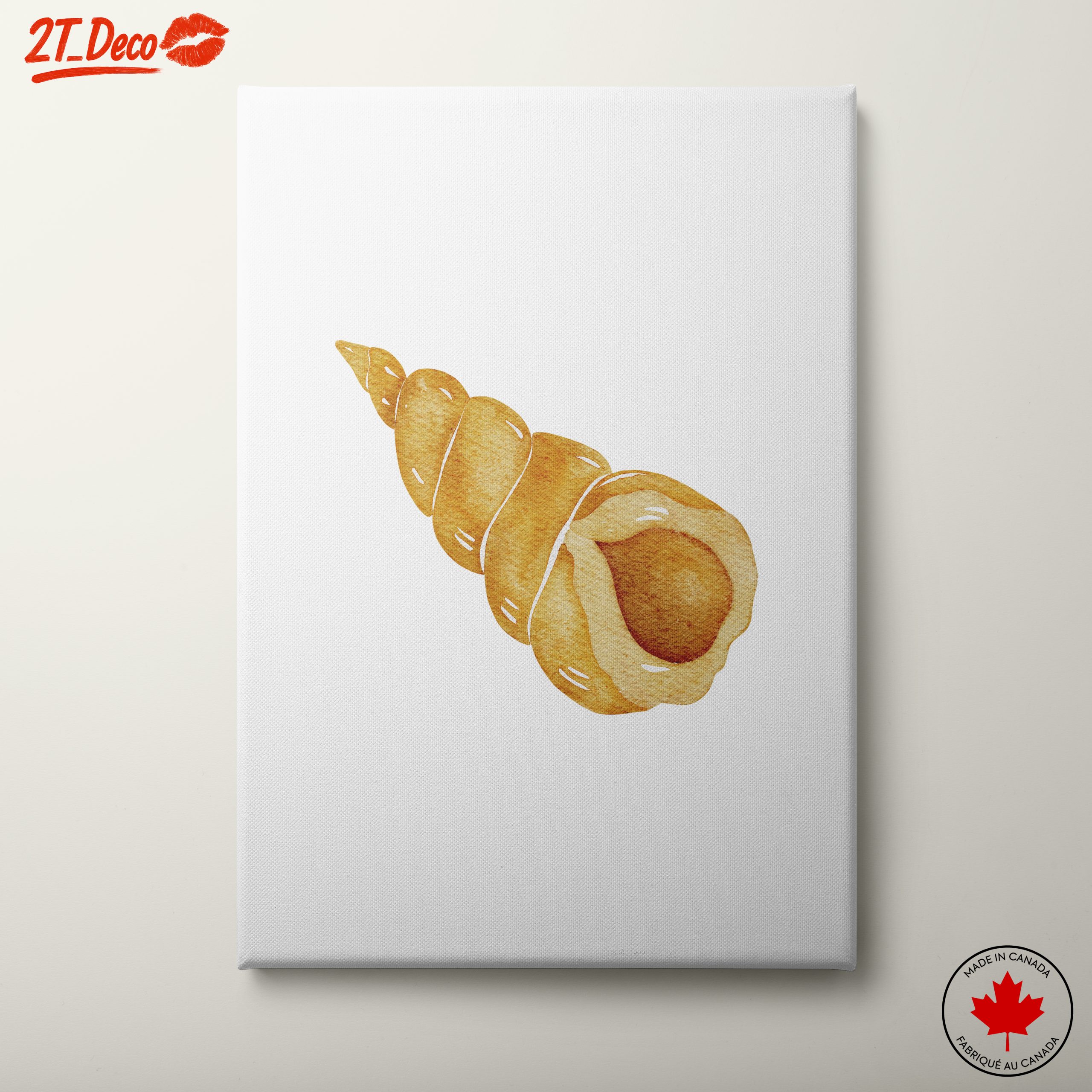 Watercolor Seashell Artwork