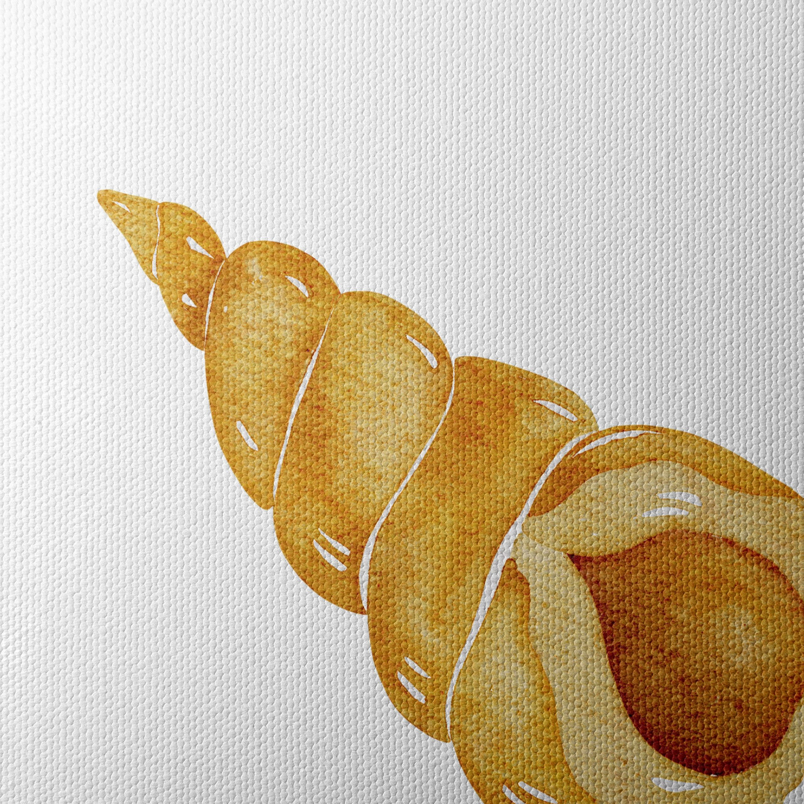 Watercolor Seashell Artwork - Image 4