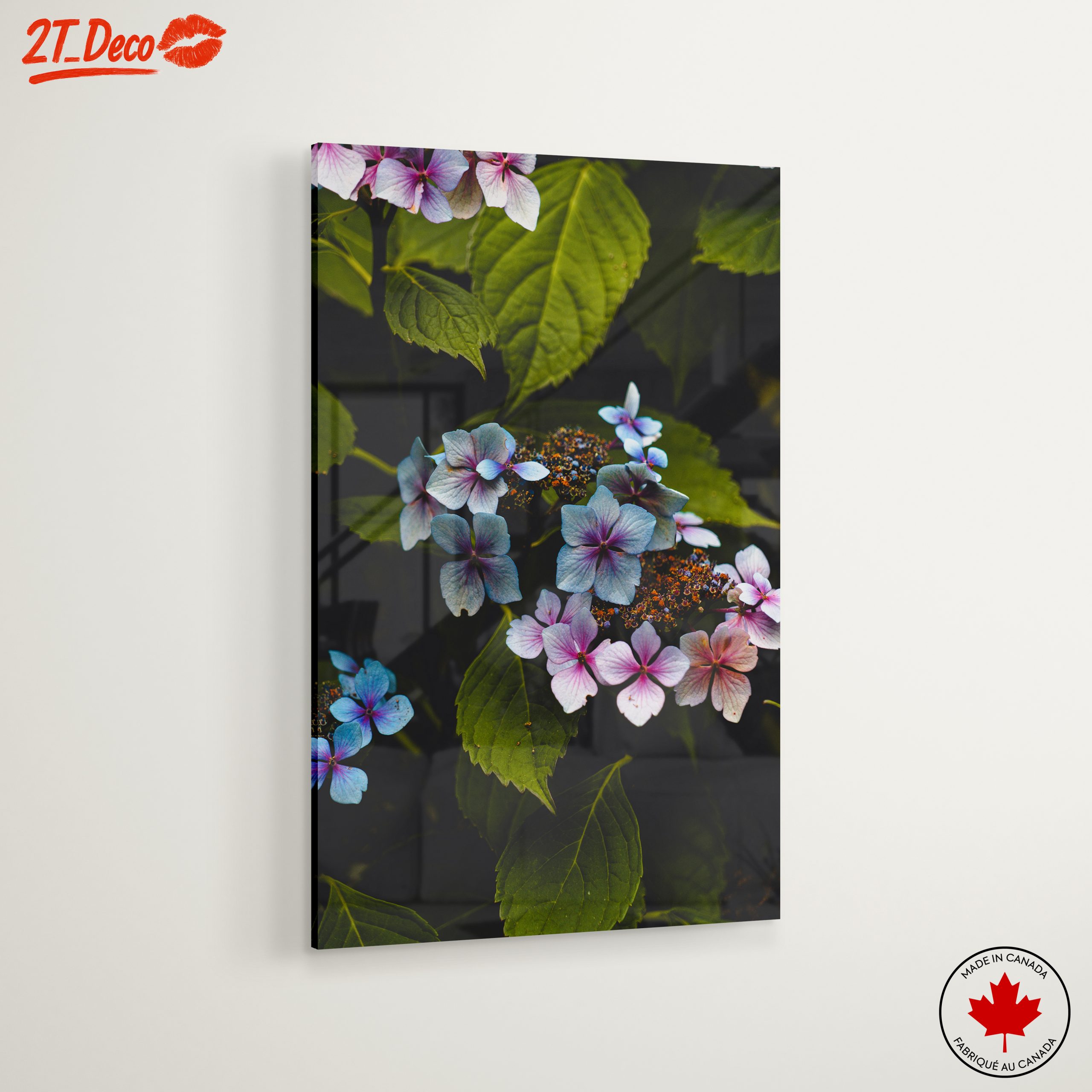 Delicate Hydrangea Flowers in Nature - Image 6