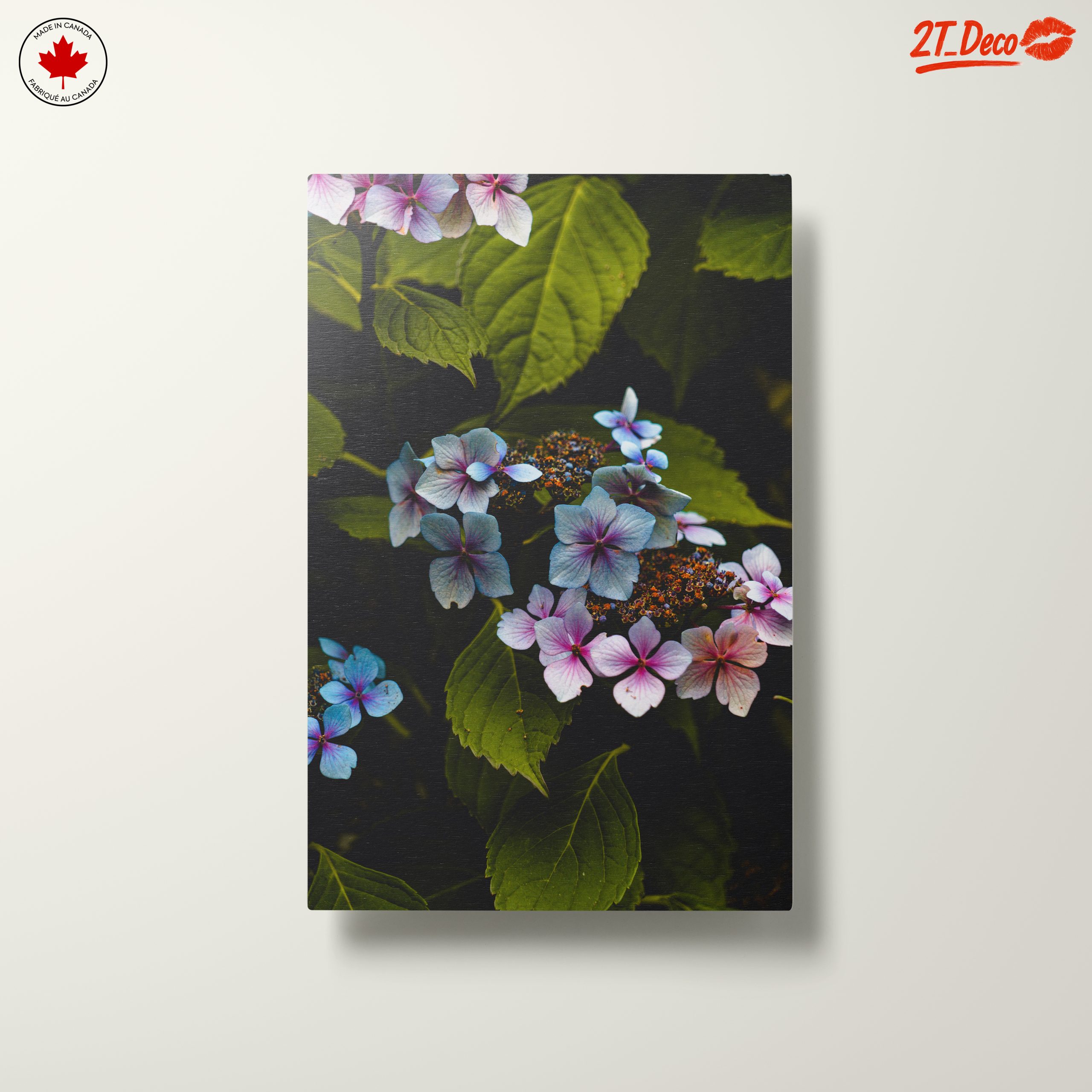 Delicate Hydrangea Flowers in Nature - Image 10