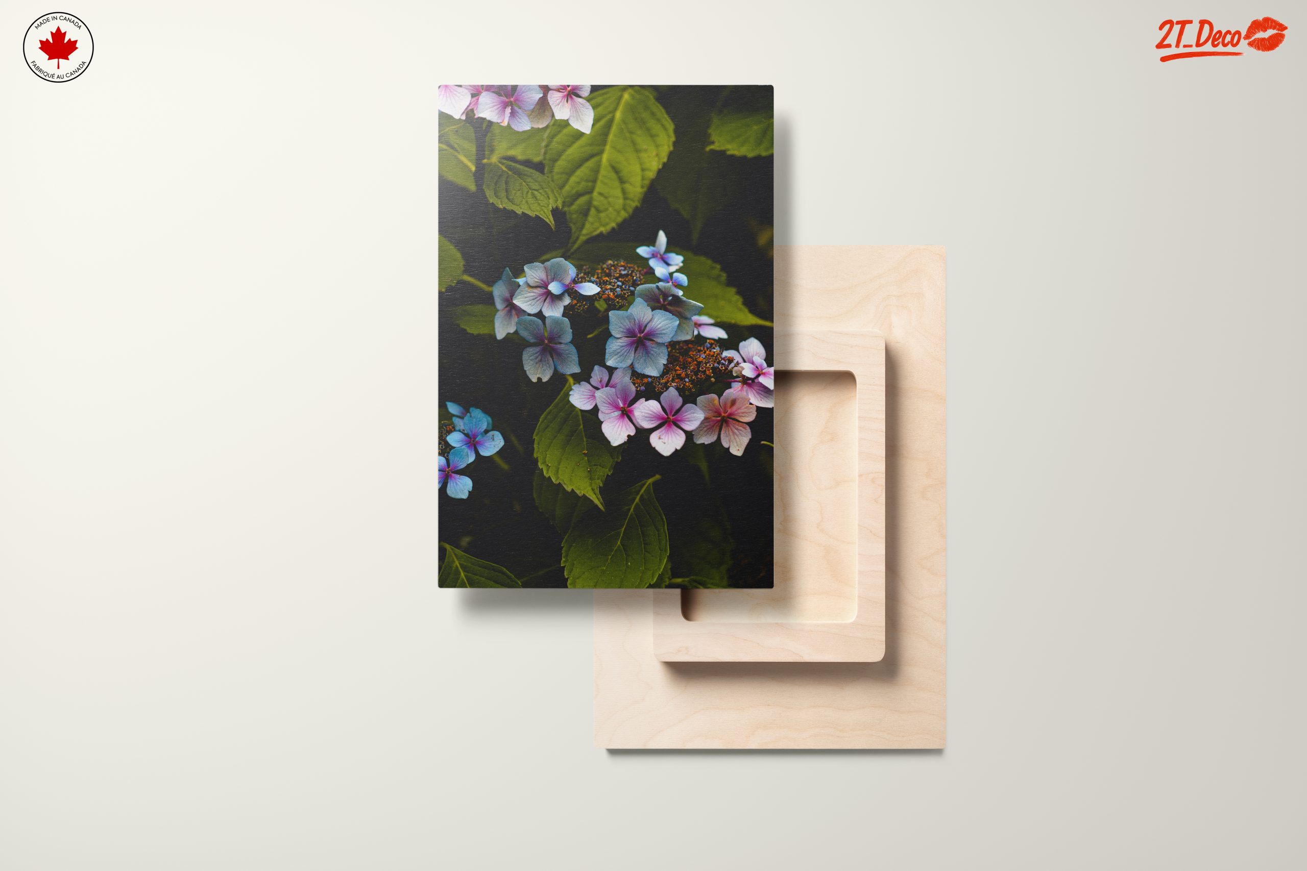 Delicate Hydrangea Flowers in Nature - Image 11