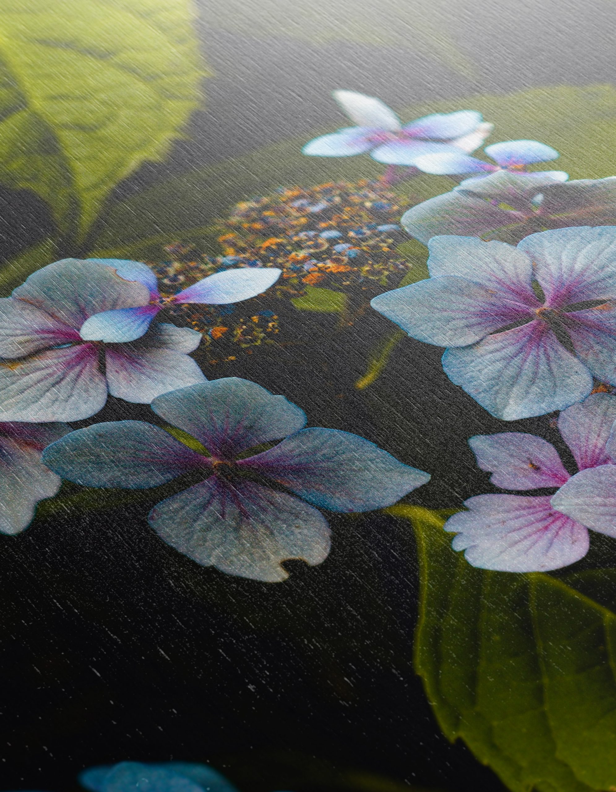 Delicate Hydrangea Flowers in Nature - Image 12