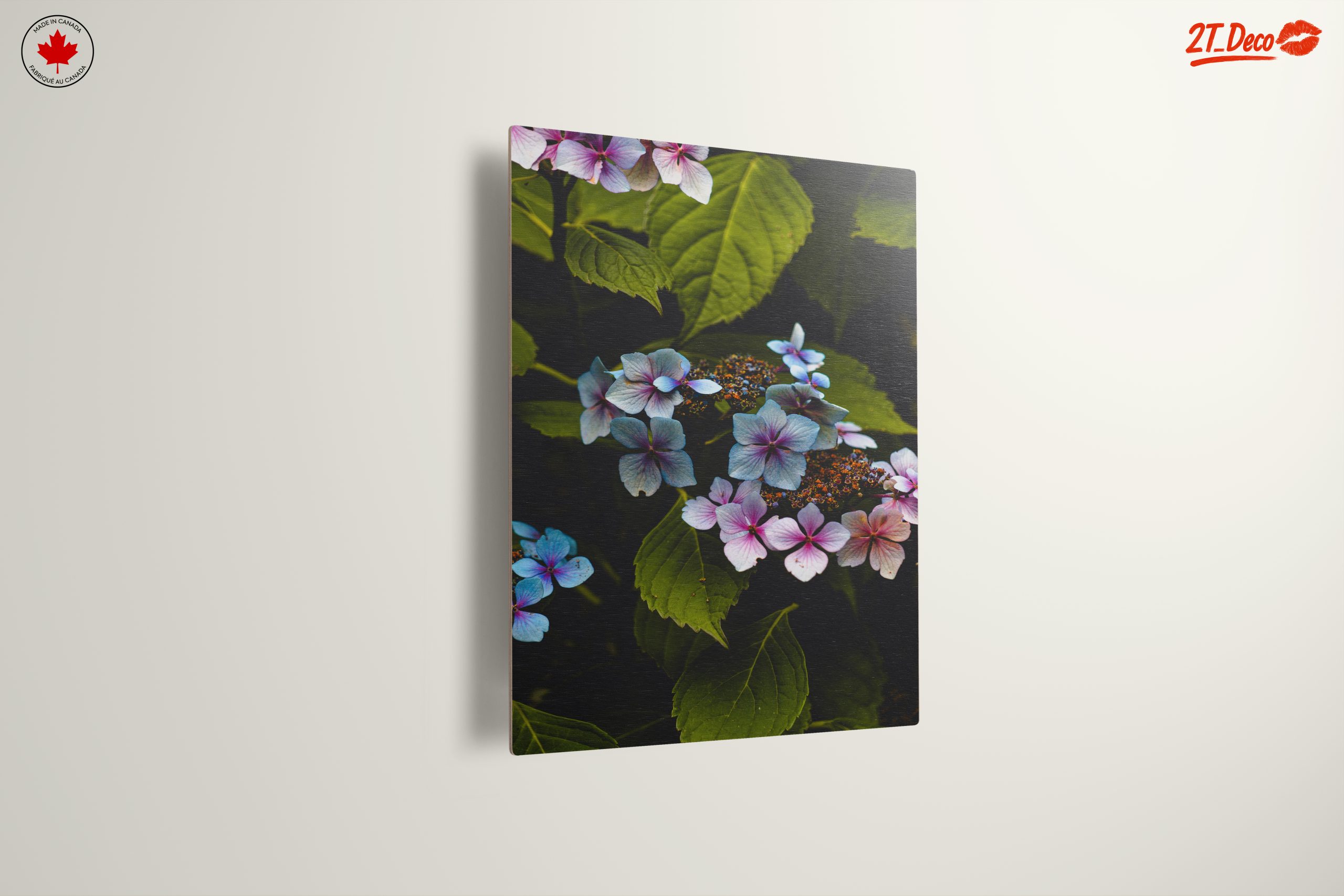 Delicate Hydrangea Flowers in Nature - Image 13