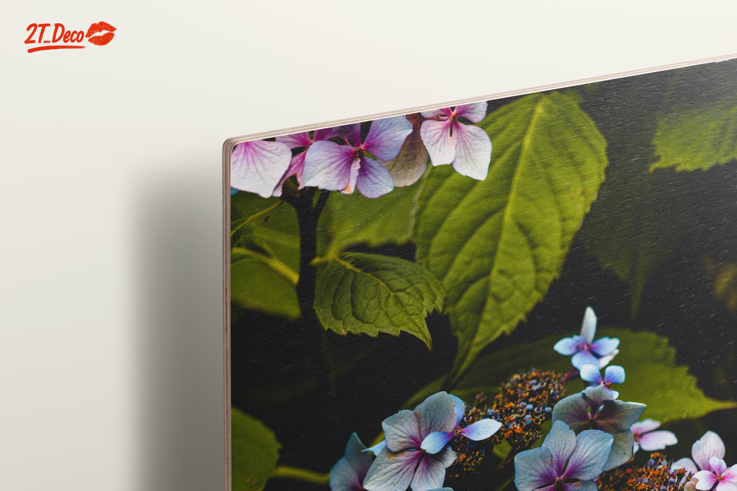 Delicate Hydrangea Flowers in Nature - Image 15
