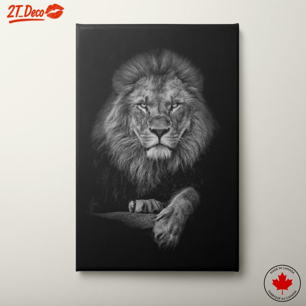 Black and White Lion Portrait