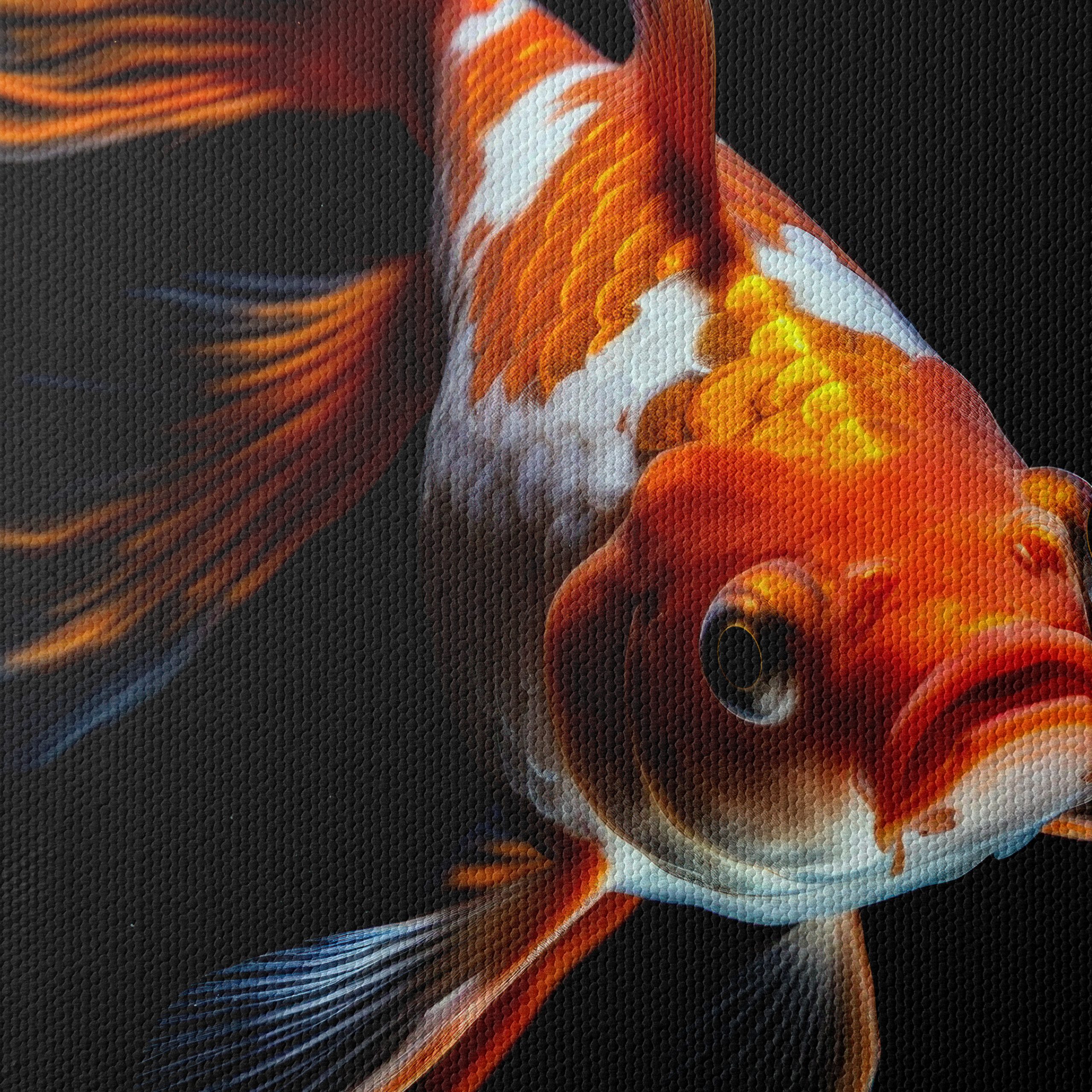 Stunning Goldfish Wall Art - Image 4