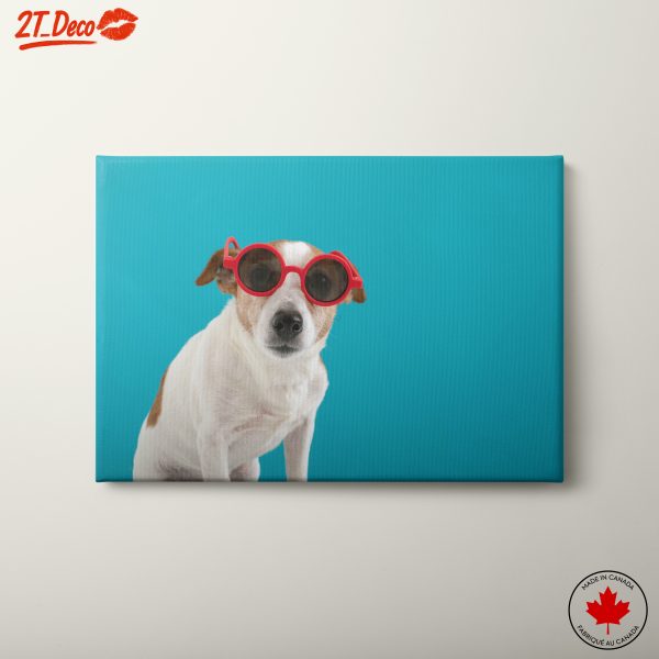 Playful Dog with Sunglasses