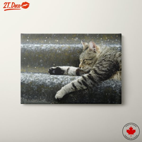 Relaxed Cat Lying on Steps