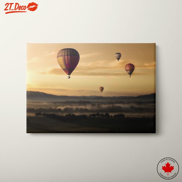 Hot Air Balloons Over a Scenic Landscape