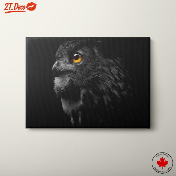 Stunning Owl Portrait in Black and White