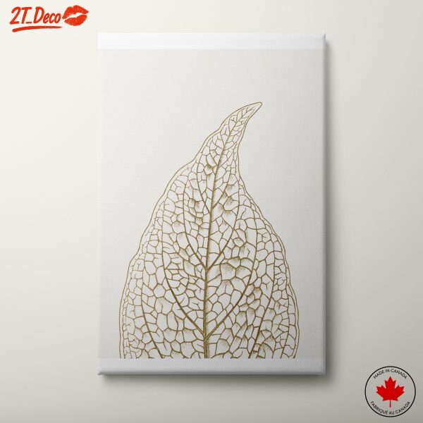 Elegant Leaf Illustration in Minimalist Style