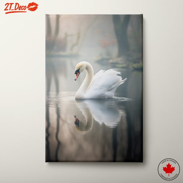 Elegant Swan Floating in Misty Waters