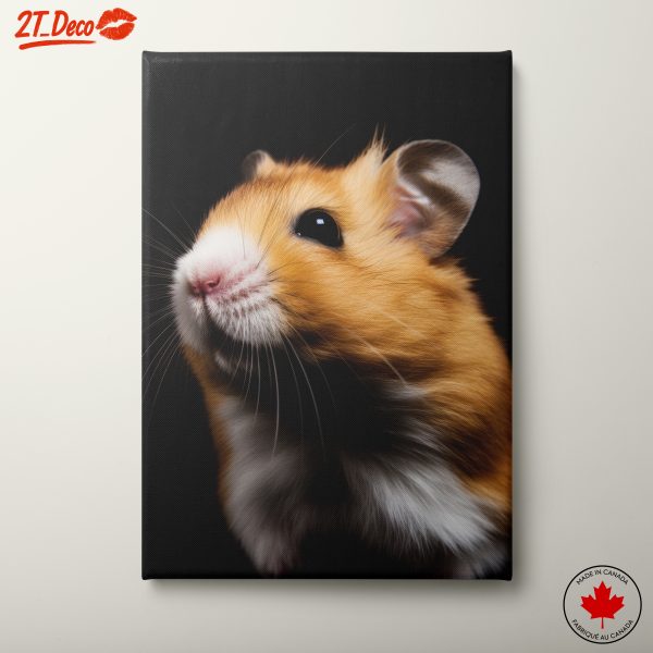 Cute Hamster Portrait on Black