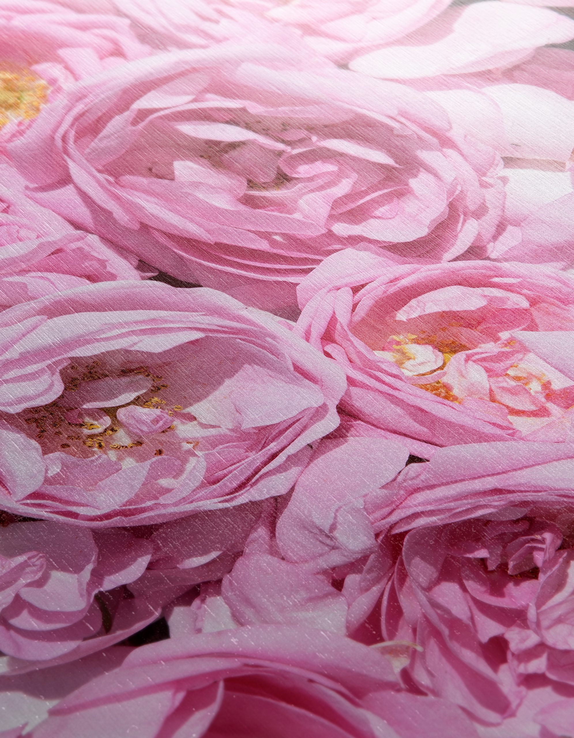Pink Rose Floral Art - Image 12