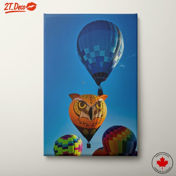 Colorful Hot Air Balloons in a Bright Sky