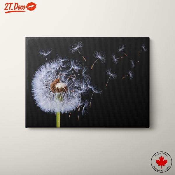 Dandelion Seeds in the Air