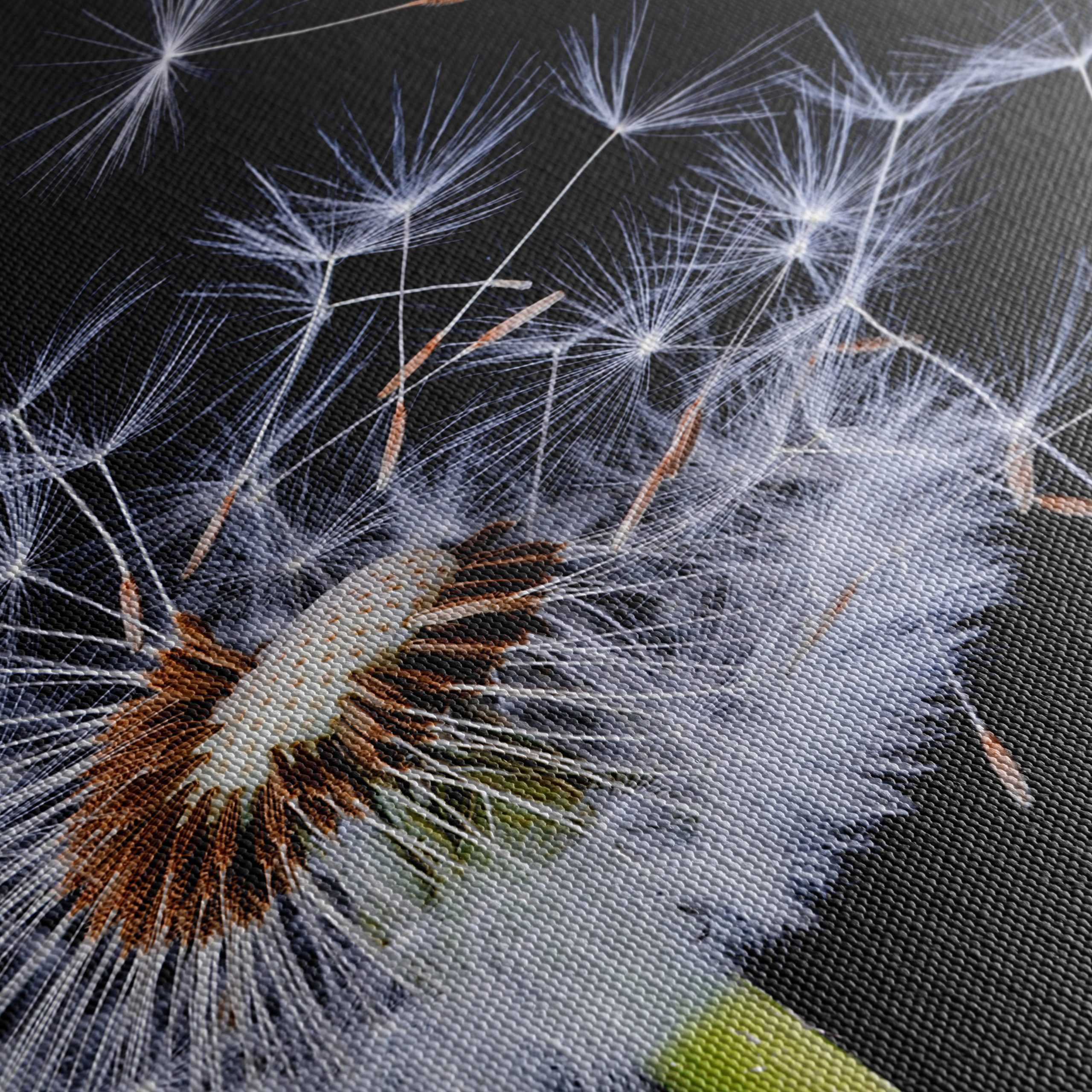 Dandelion Seeds in the Air - Image 5