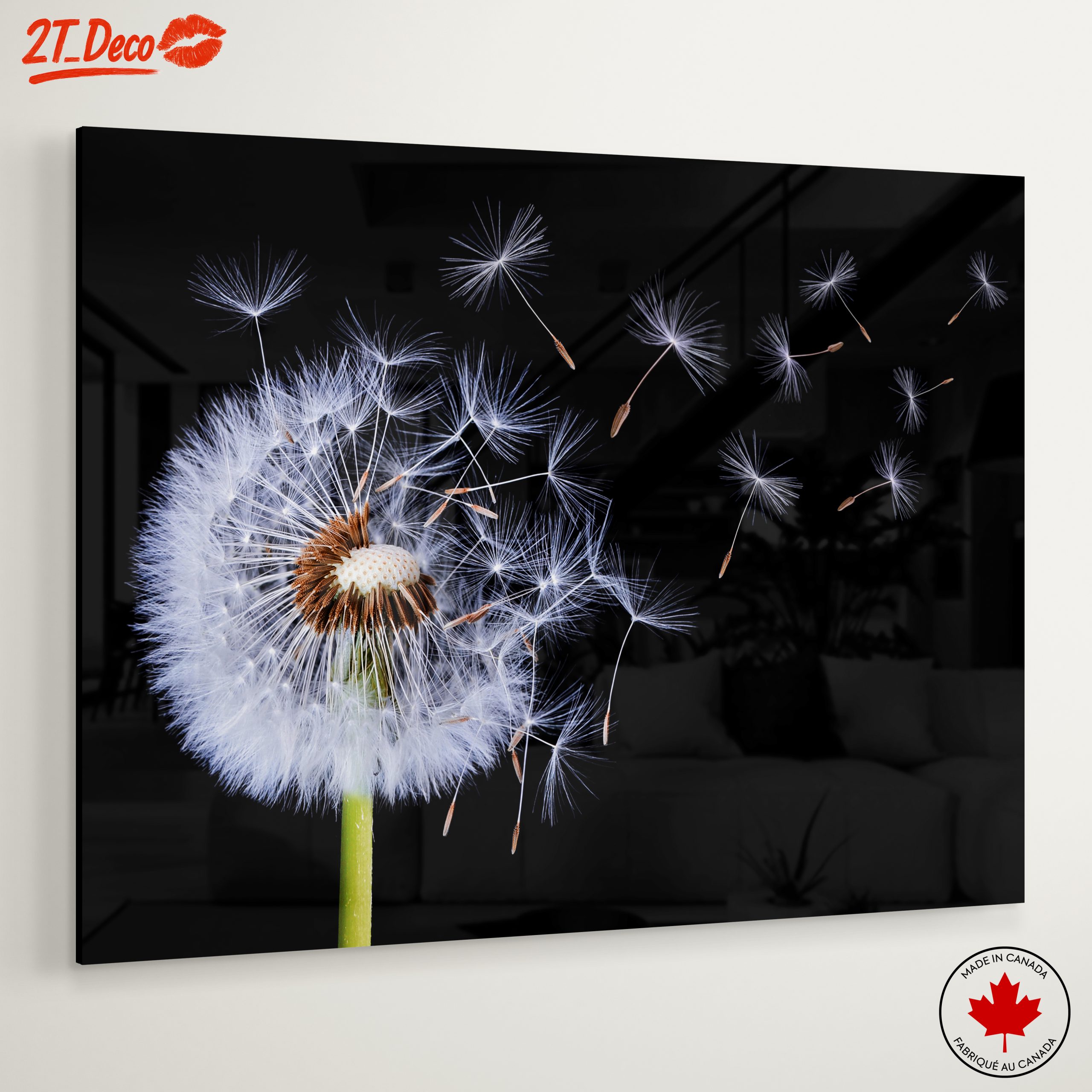 Dandelion Seeds in the Air - Image 6