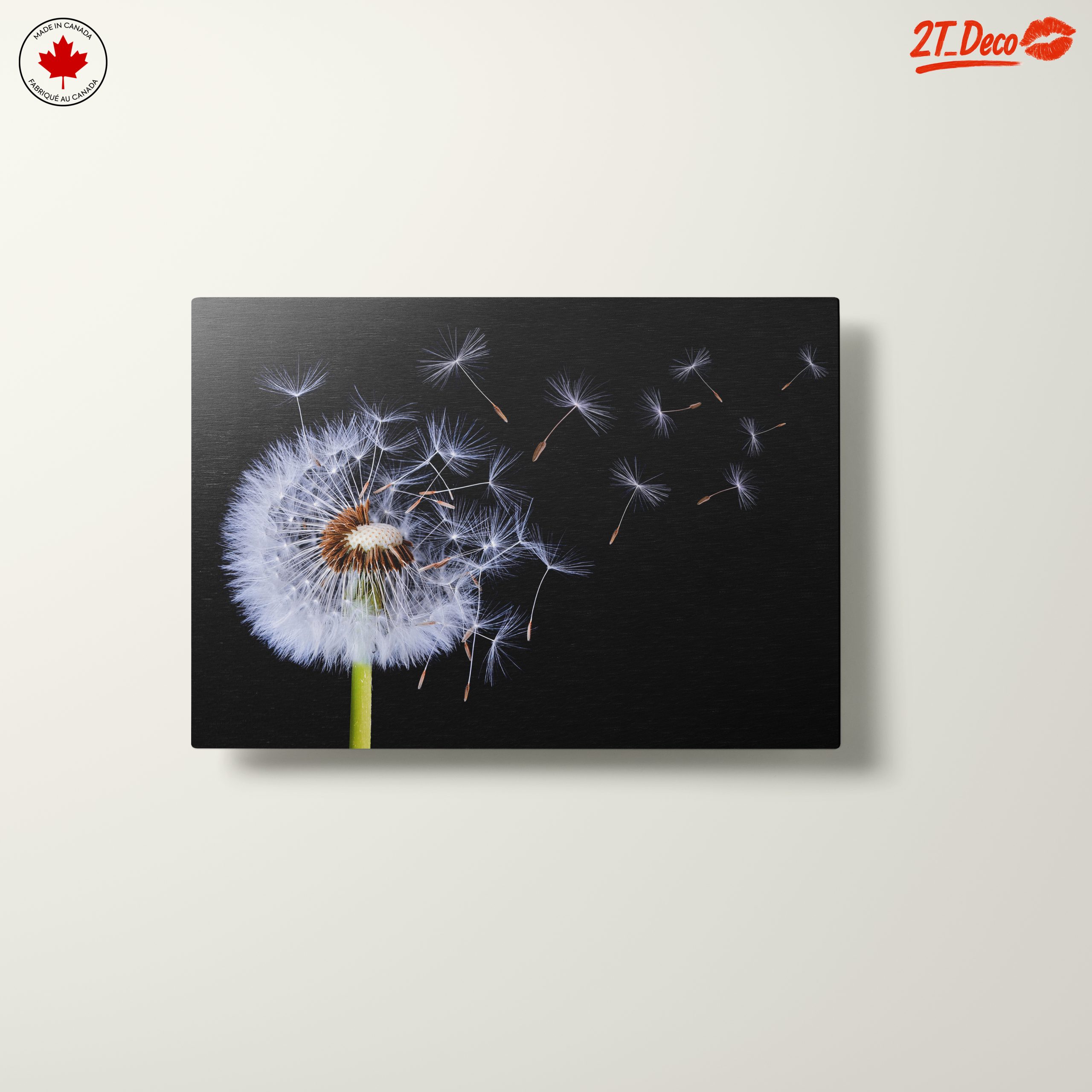 Dandelion Seeds in the Air - Image 10