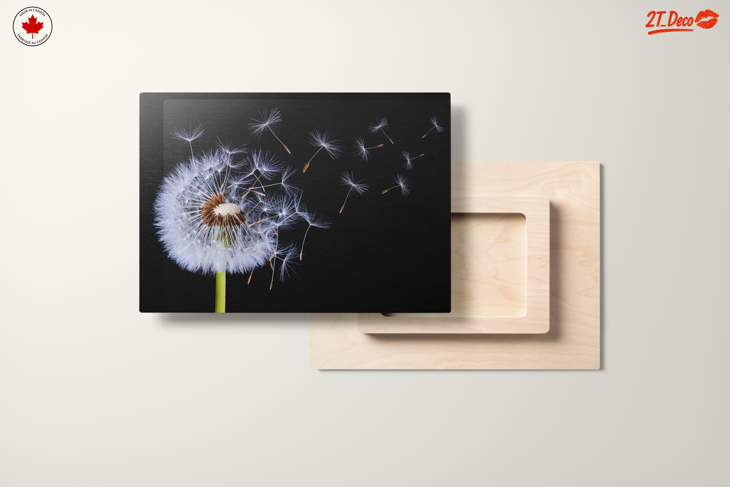 Dandelion Seeds in the Air - Image 11