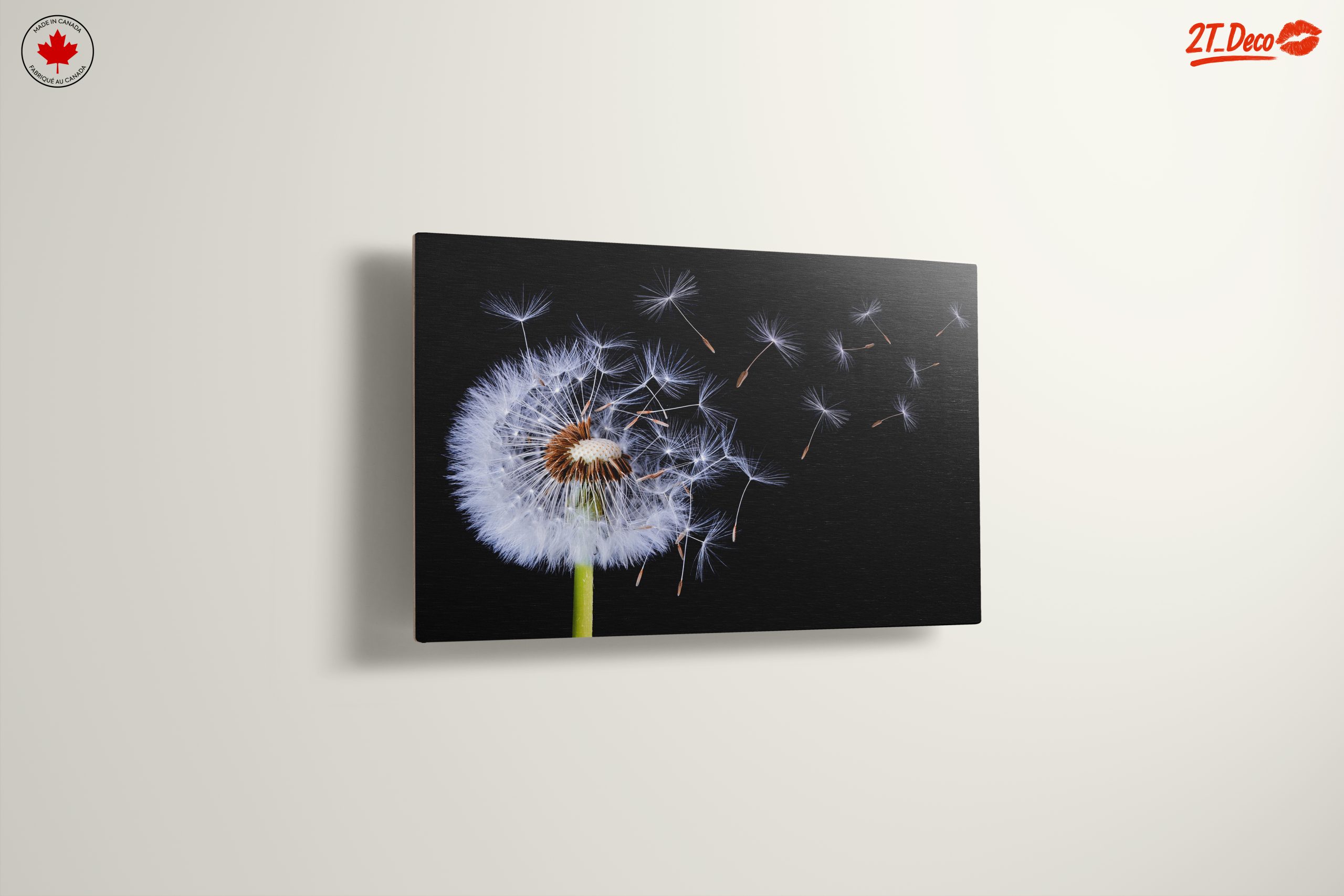 Dandelion Seeds in the Air - Image 13