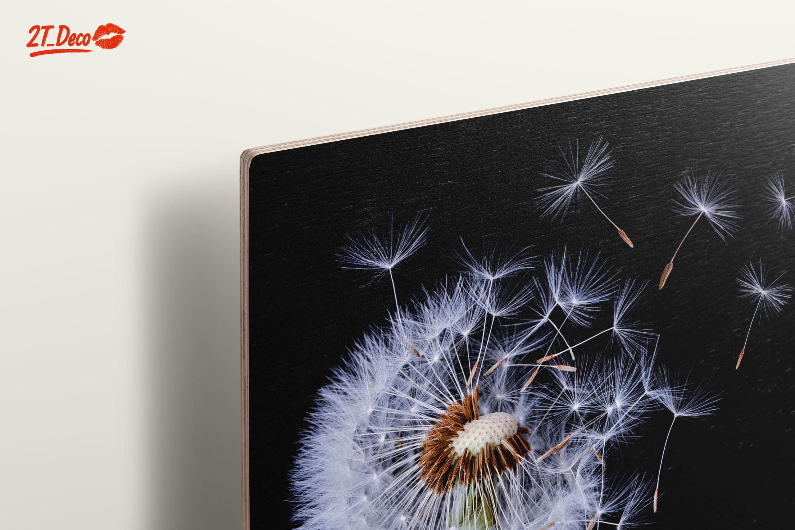 Dandelion Seeds in the Air - Image 15