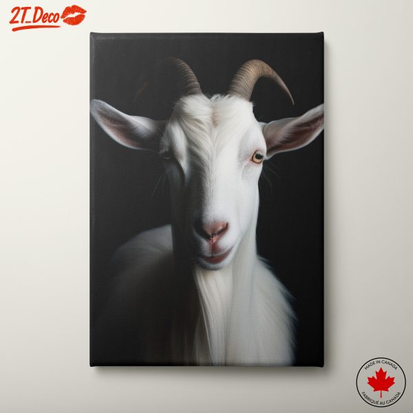 Majestic White Goat Portrait