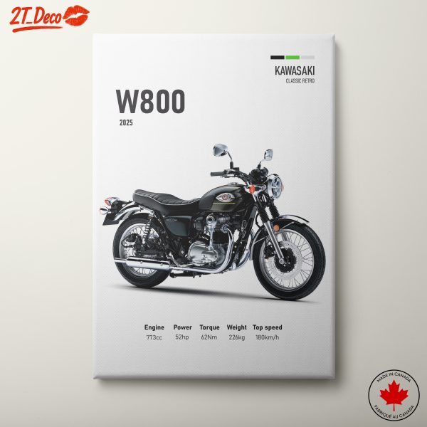 Kawasaki W800 Classic Retro Motorcycle Art