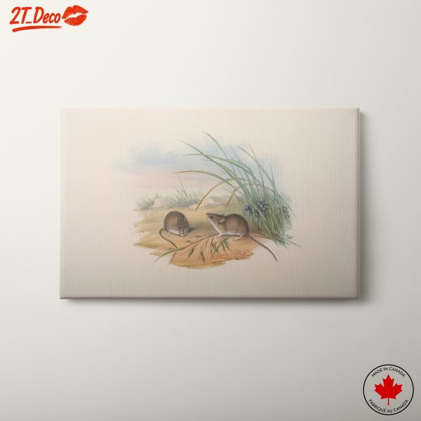 Delicate Study of Small Animals in Nature