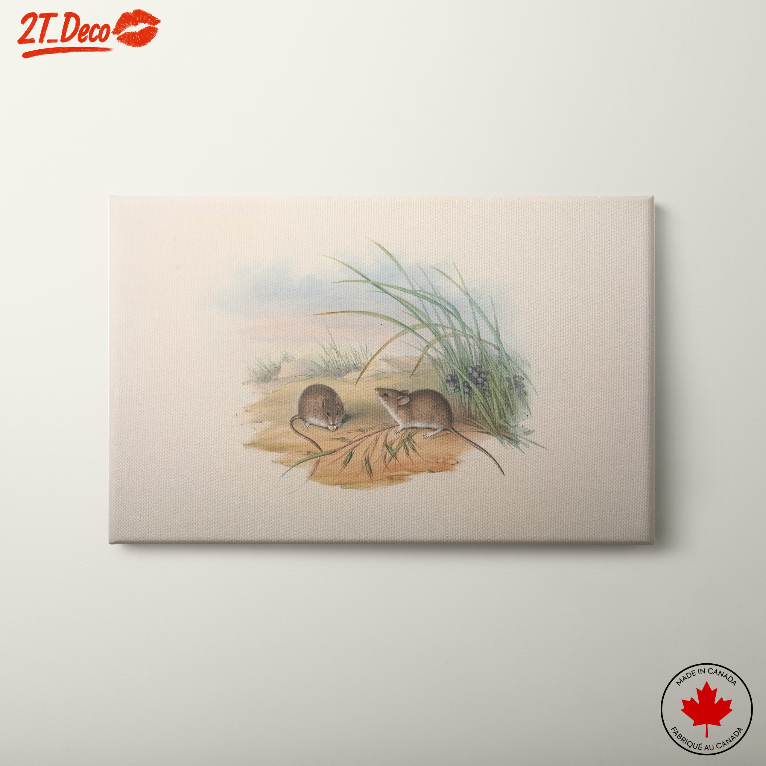 Delicate Study of Small Animals in Nature