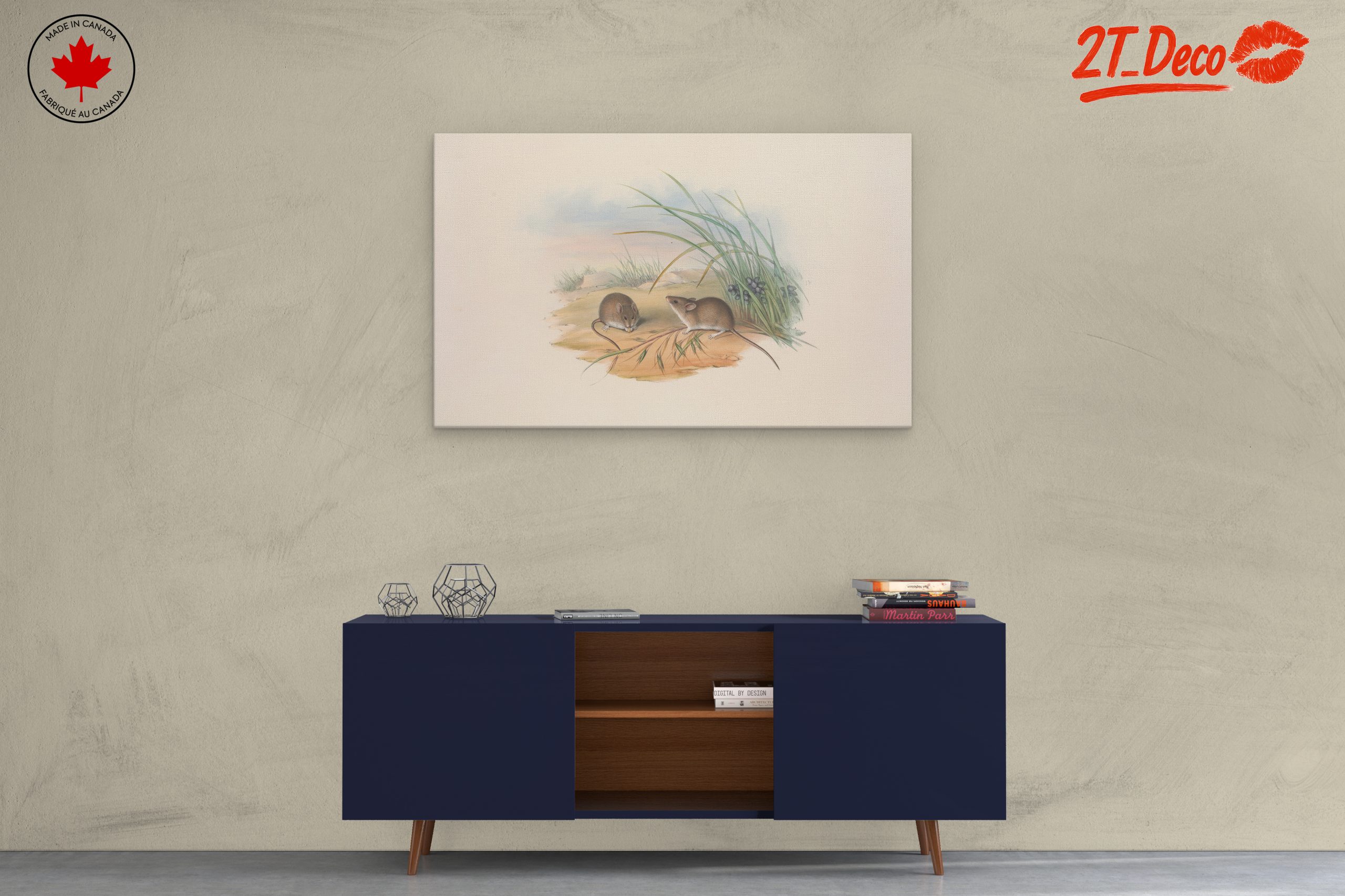 Delicate Study of Small Animals in Nature - Image 3