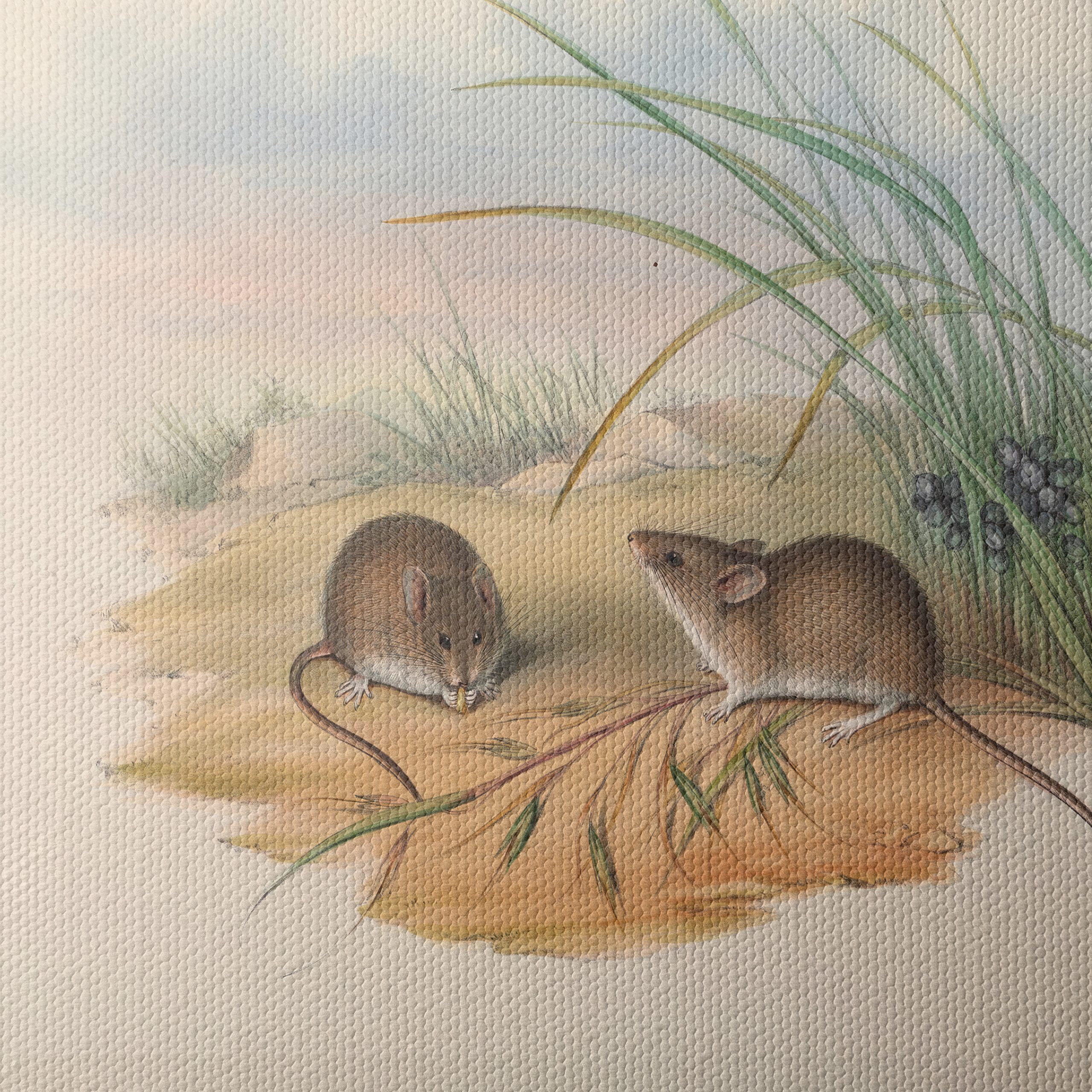 Delicate Study of Small Animals in Nature - Image 4