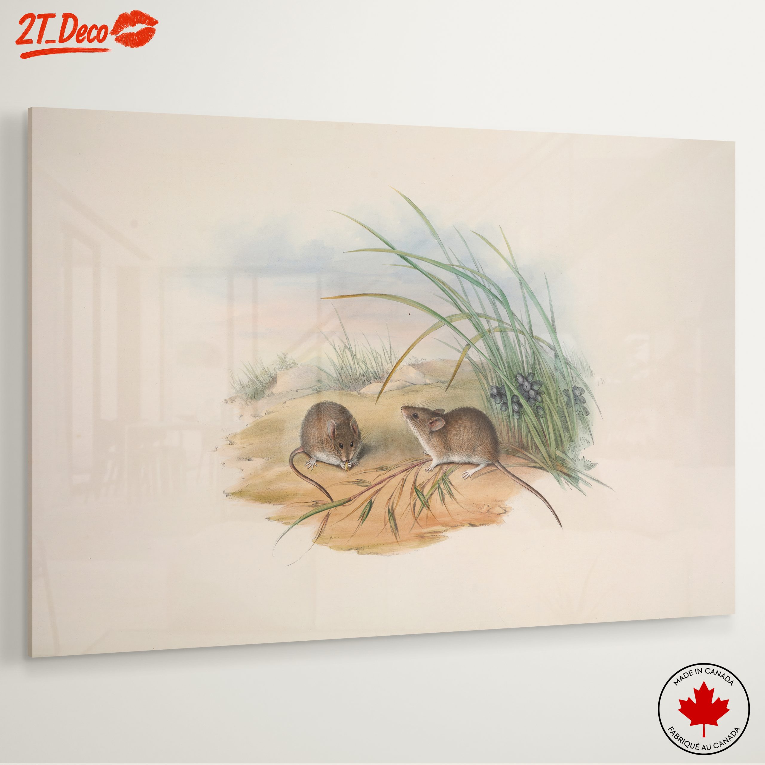 Delicate Study of Small Animals in Nature - Image 6