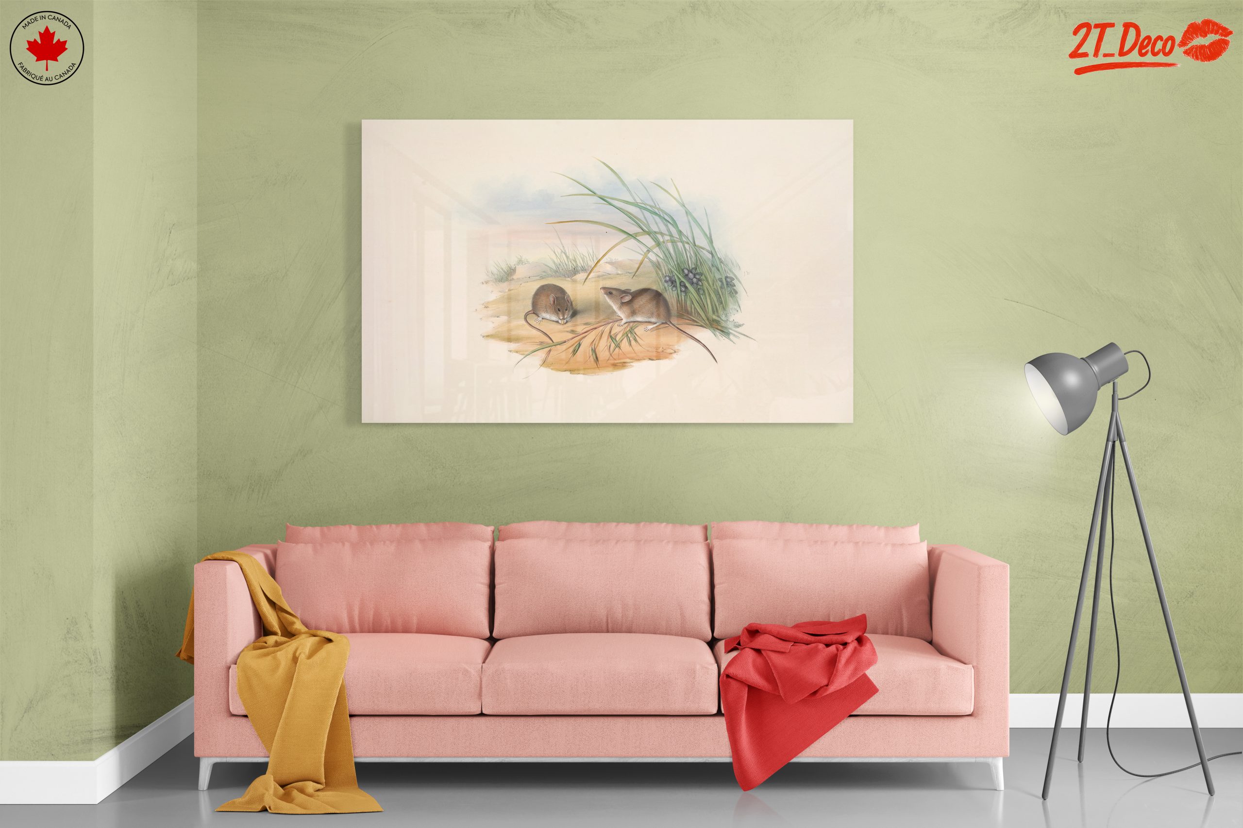 Delicate Study of Small Animals in Nature - Image 7