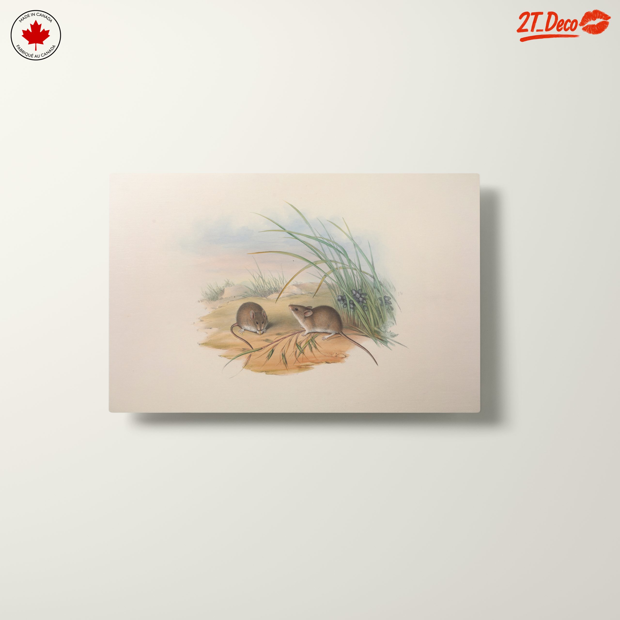 Delicate Study of Small Animals in Nature - Image 10
