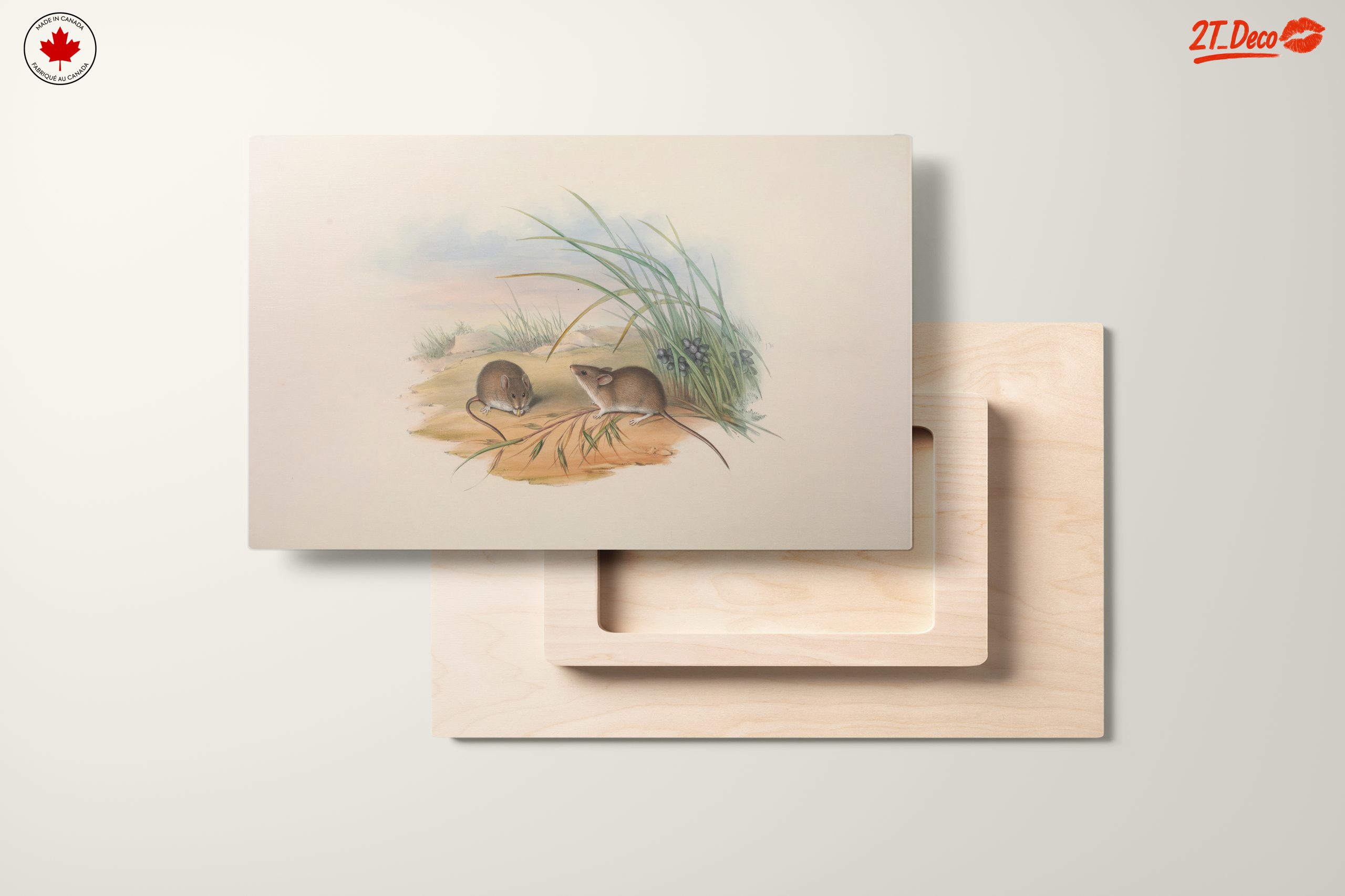 Delicate Study of Small Animals in Nature - Image 11