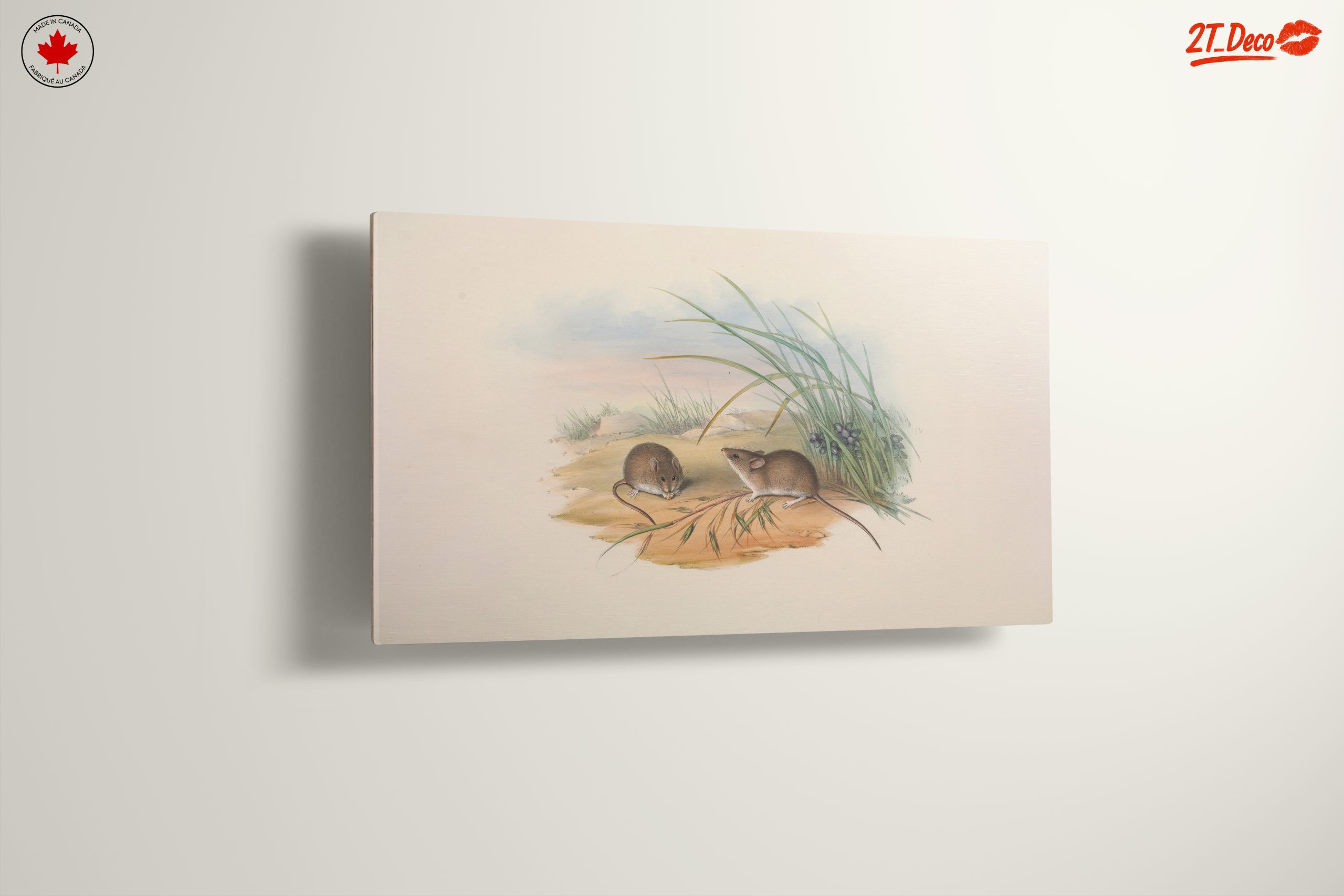 Delicate Study of Small Animals in Nature - Image 13