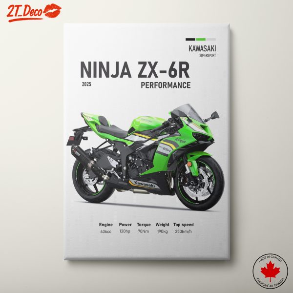 2025 Kawasaki Ninja ZX-6R Performance