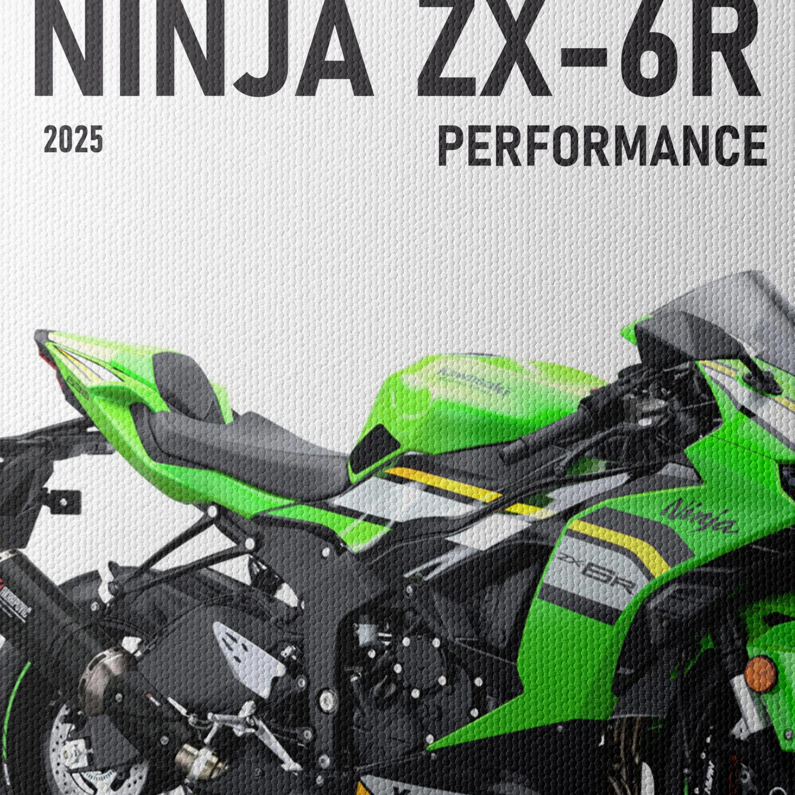 2025 Kawasaki Ninja ZX-6R Performance - Image 4