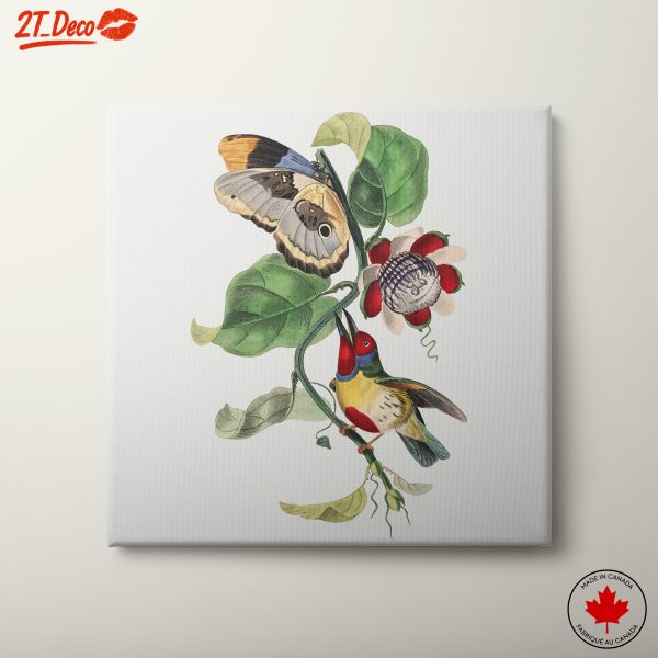 Colorful Botanical Art with Butterfly and Bird