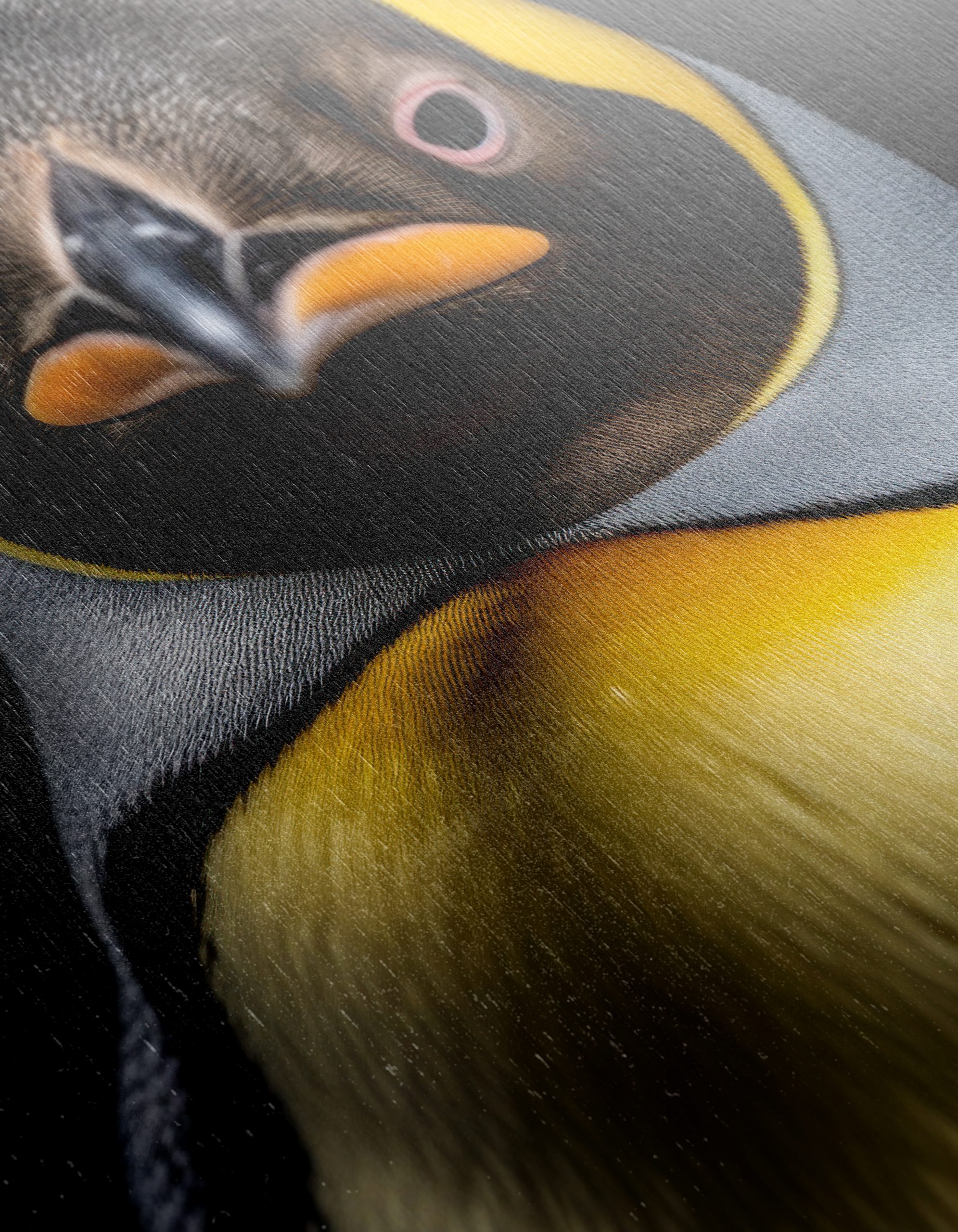 Stunning Artistic Penguin Portrait - Image 12