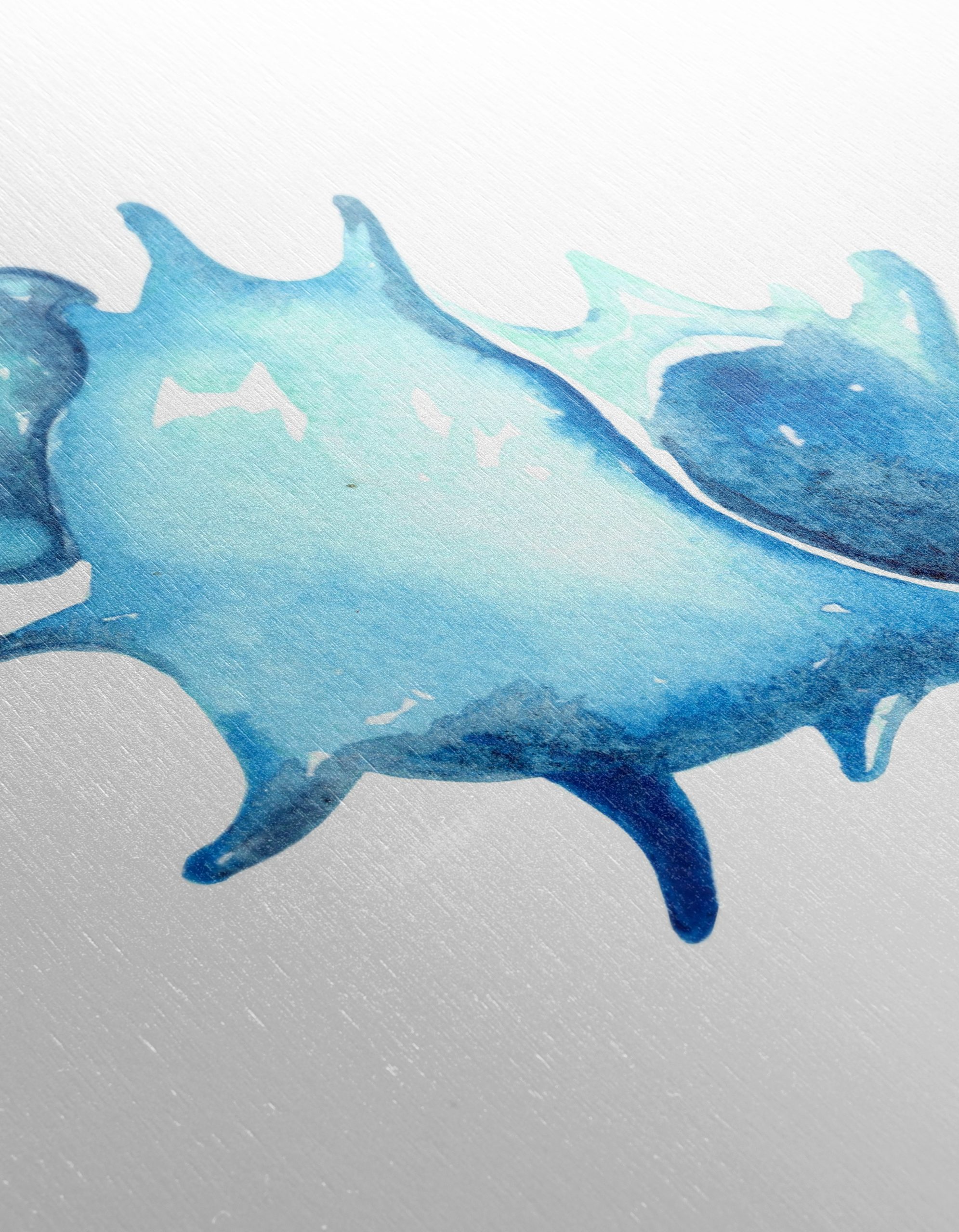 Watercolor Seashell Art in Blue - Image 12