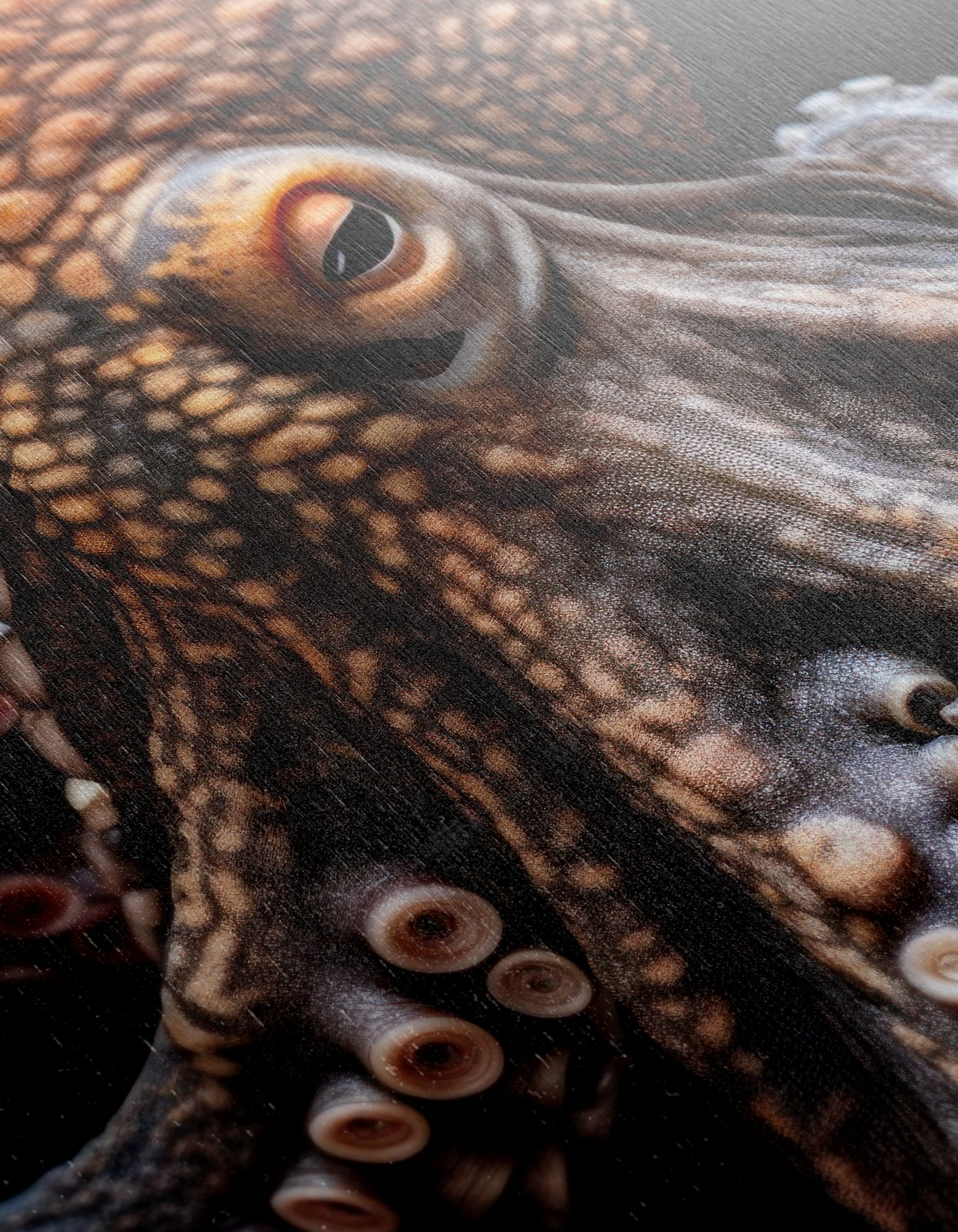 Stunning Octopus Wall Art - Image 12