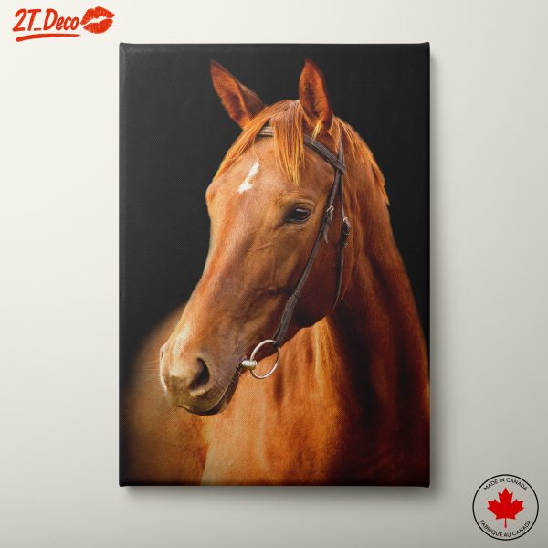 Stunning Horse Portrait 2